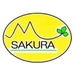 南さくら整骨院
